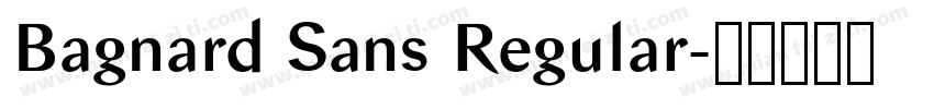 Bagnard Sans Regular字体转换